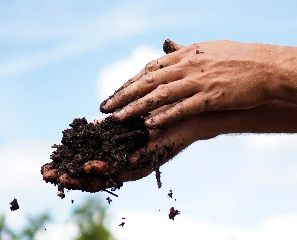 Ayesha Jones hands holding soil