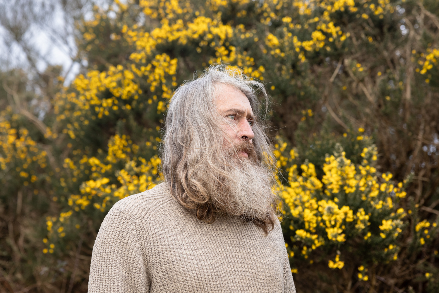 Regenerative Conversation: Nature-Friendly Flax Farming in Ireland