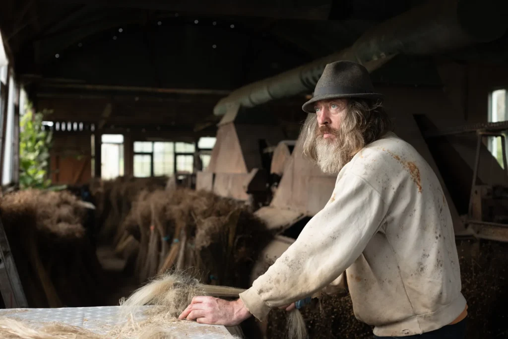 Irish linen farmer working with organic flax