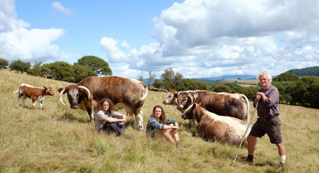 Photo of an agroecological farm 