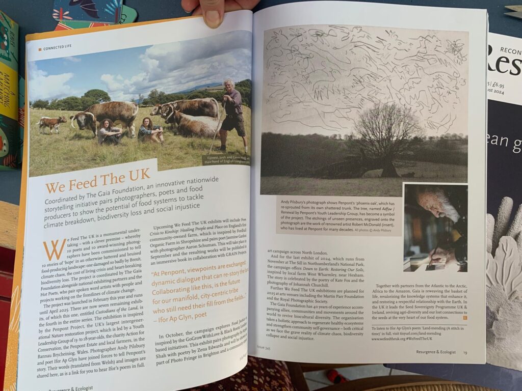 Youth-led nature restoration initiative in Wales, UK is featured in Resurgence Magazine