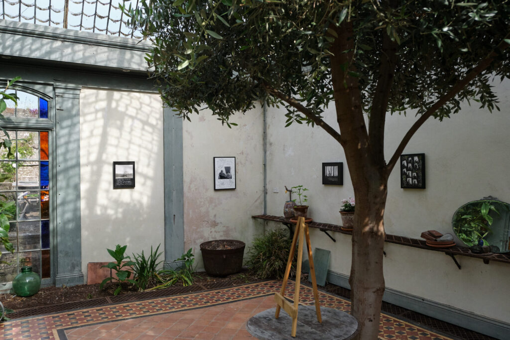 the gallery space showing photographs of the nature restoration project