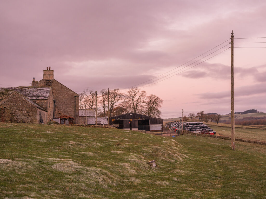 a regenerative farm in Northumberland 