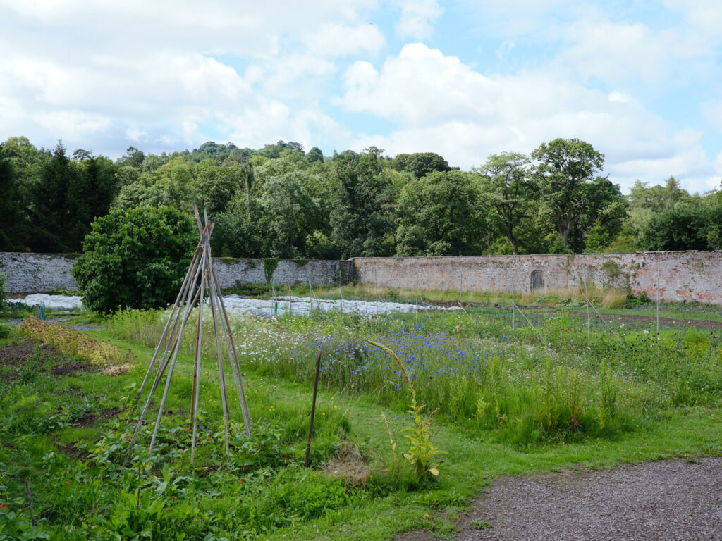 Growing produce with young farmers in Wales