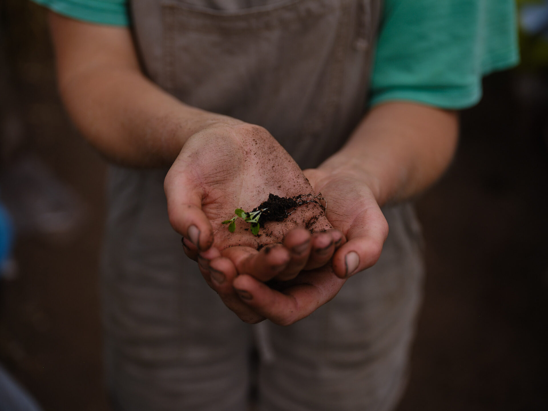 Young farmers helping grow new life on the farm 