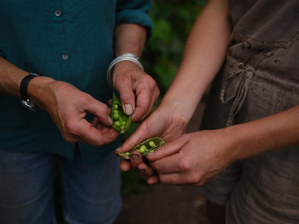 Food grown by farmers both young and old at Penpont