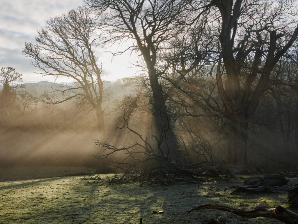 Penpont farm, with misty trees and creeping sunlight
