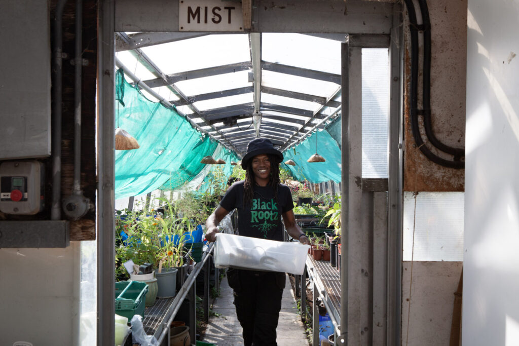 food grown in community allotments in London 