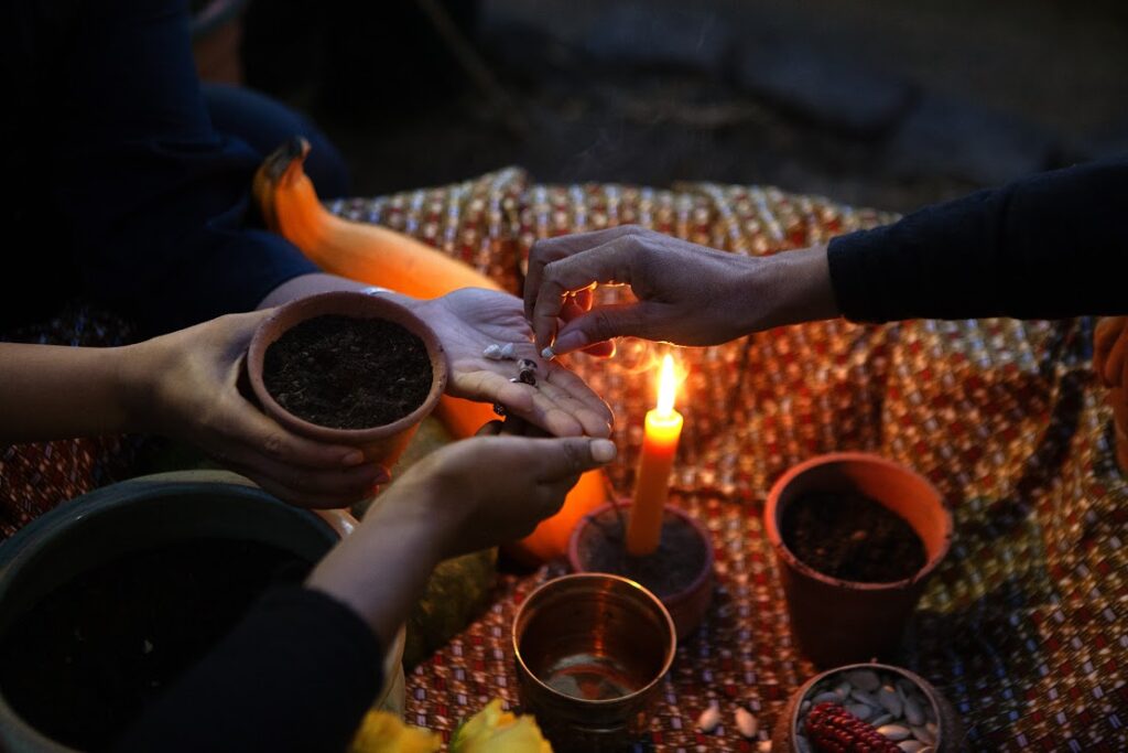 Sharing seeds to grown your own food