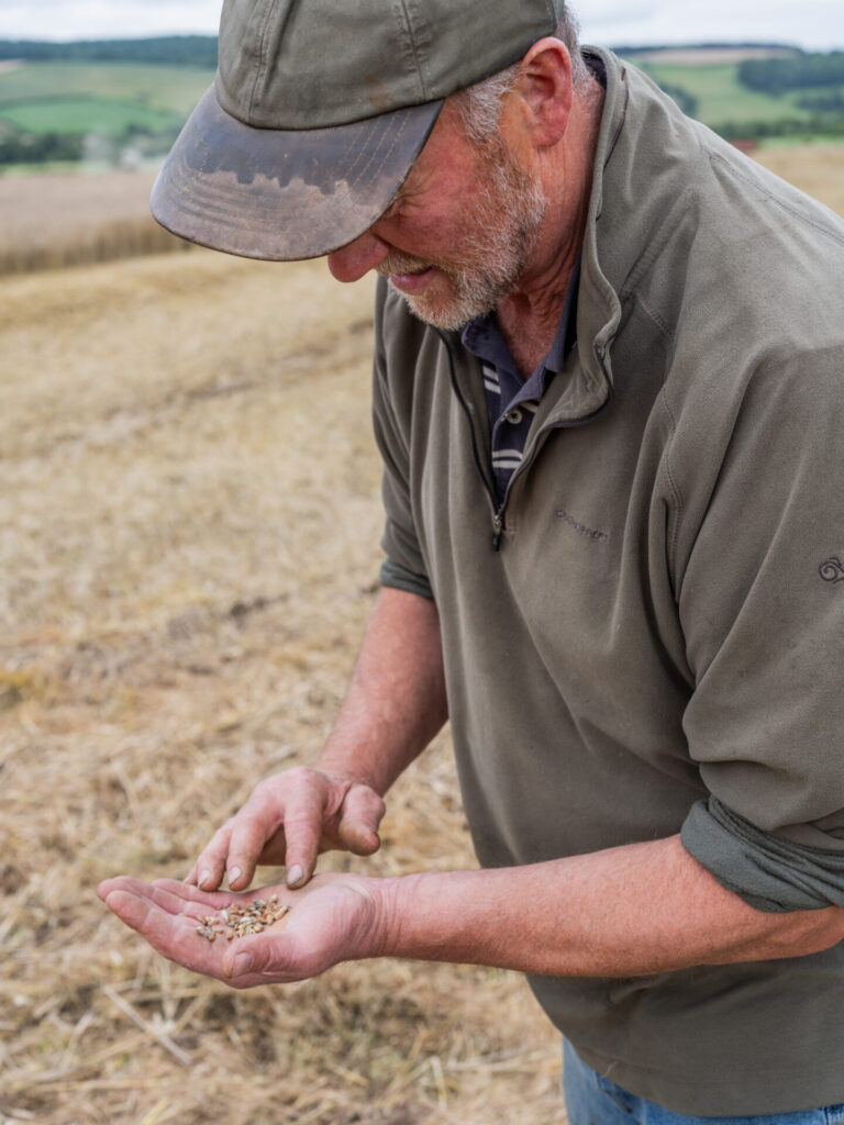 reaping the benefits of soil restoration and fertile soil 