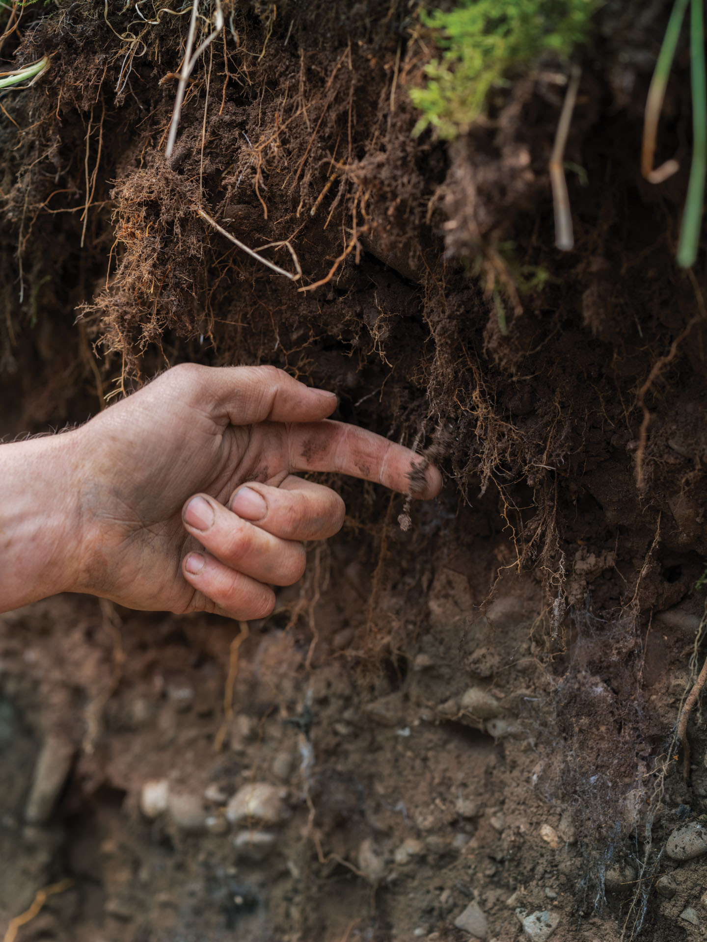 Regenerative Conversation: Nature-Friendly Farming in the North