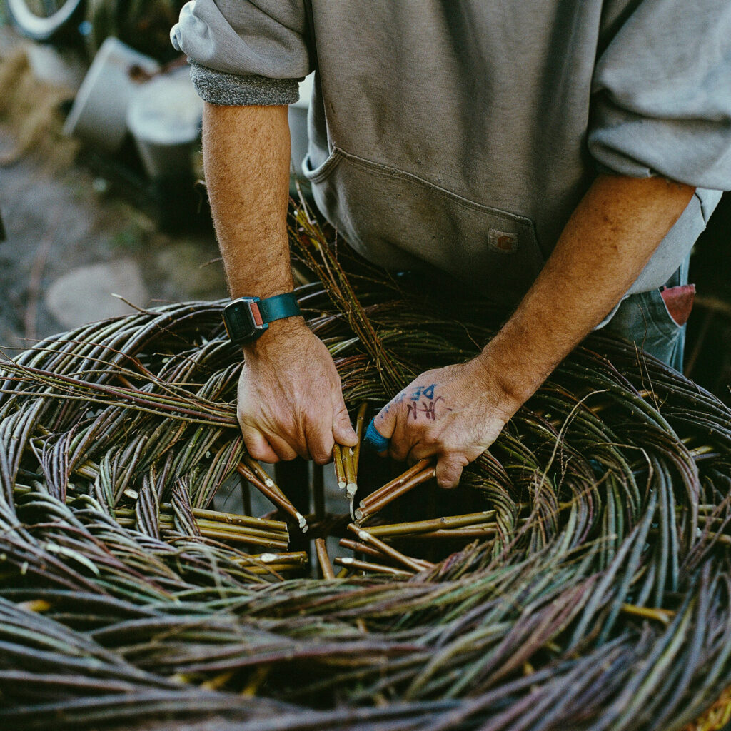 Withy lobster pot forms part of a sustainable seafood business