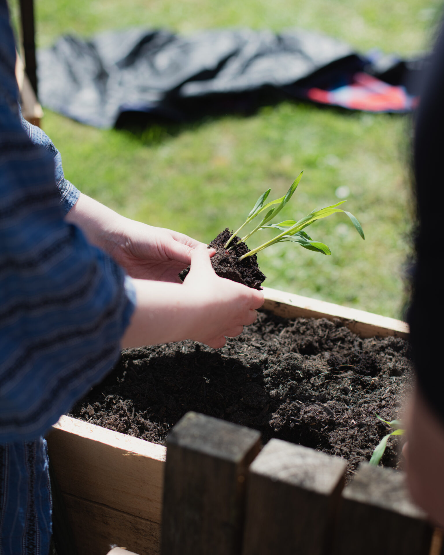 A day of food sovereignty stories in Bristol