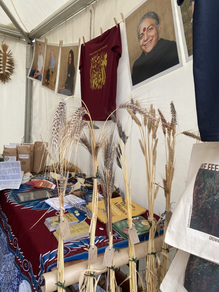 Heritage grains displayed at Groundswell