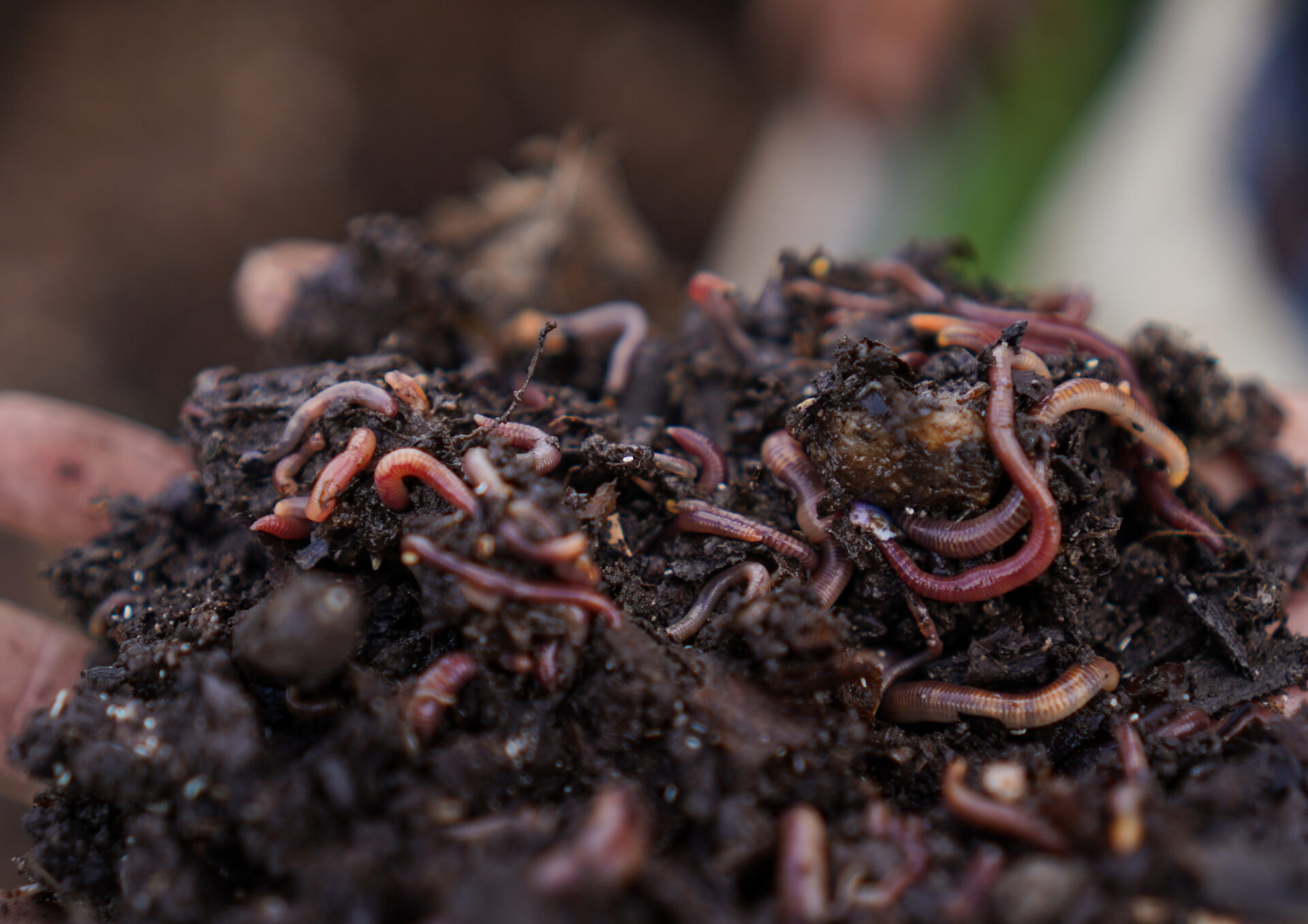 Exhibition Launch Party |  Primary, Nottingham